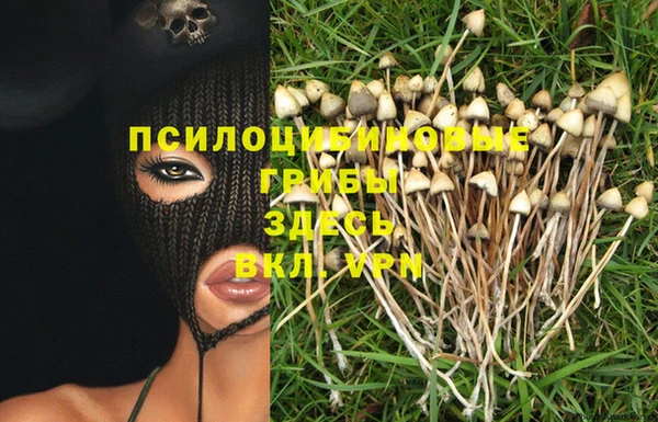 первитин Армянск