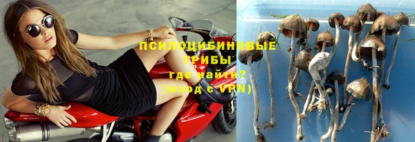 шишки Алексин