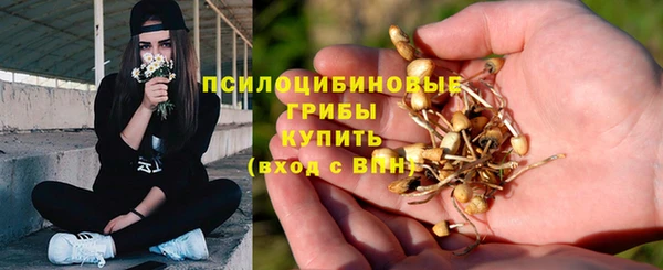 первитин Армянск